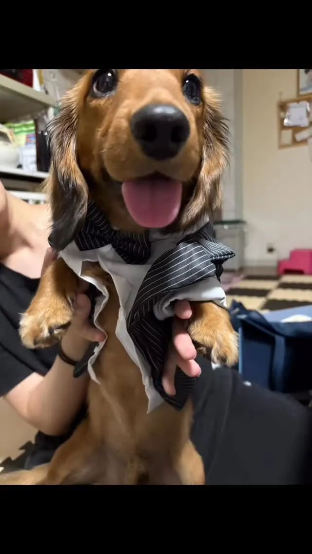 うーじ君🐾