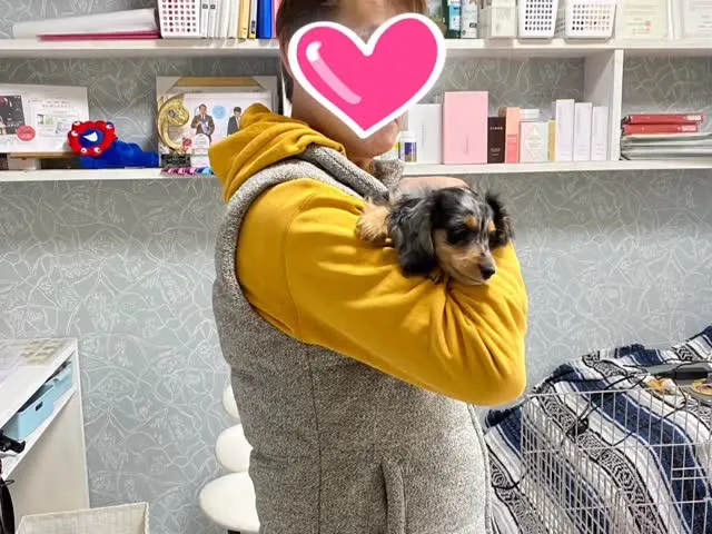 巣立ちの日✨🕊️✨🏠✨🕊️✨