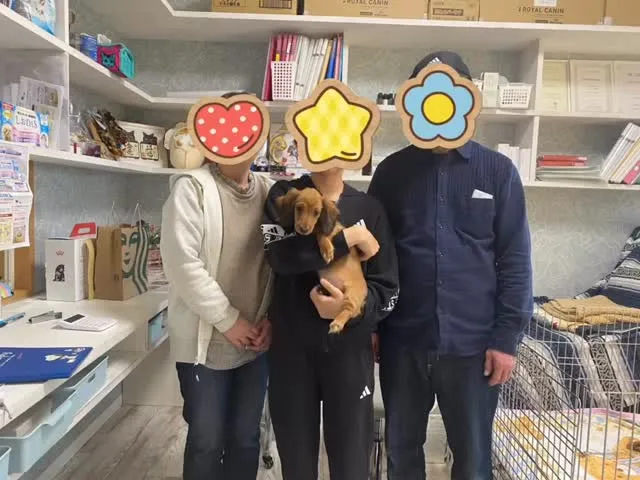 巣立ちの日✨🕊️✨🏠✨🕊️✨