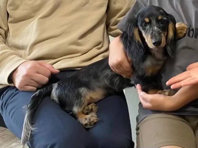 巣立ちの日✨🕊️✨🏠✨🕊️✨