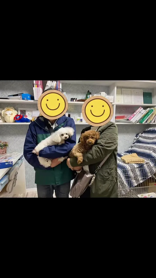 巣立ちの日✨🕊️✨🏠✨🕊️✨