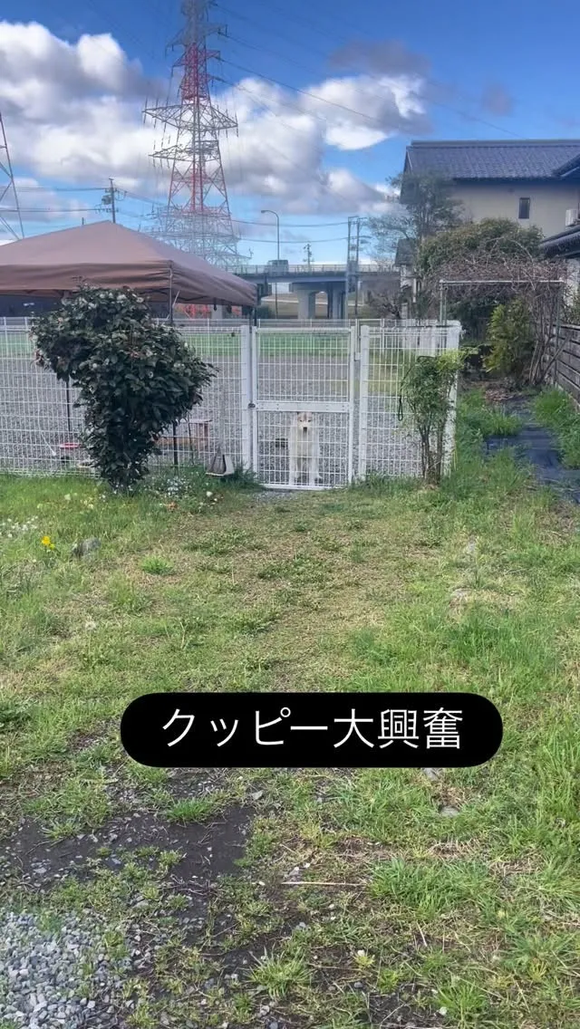 こんばんは、娘です🙋‍♀️