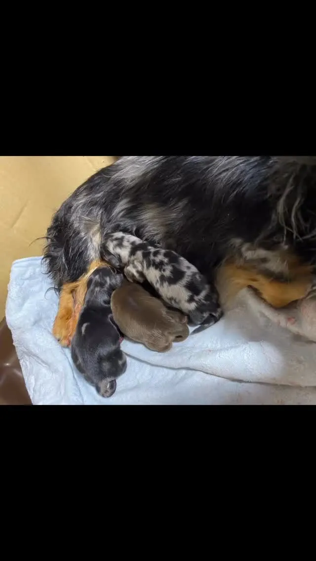 生まれました🐾