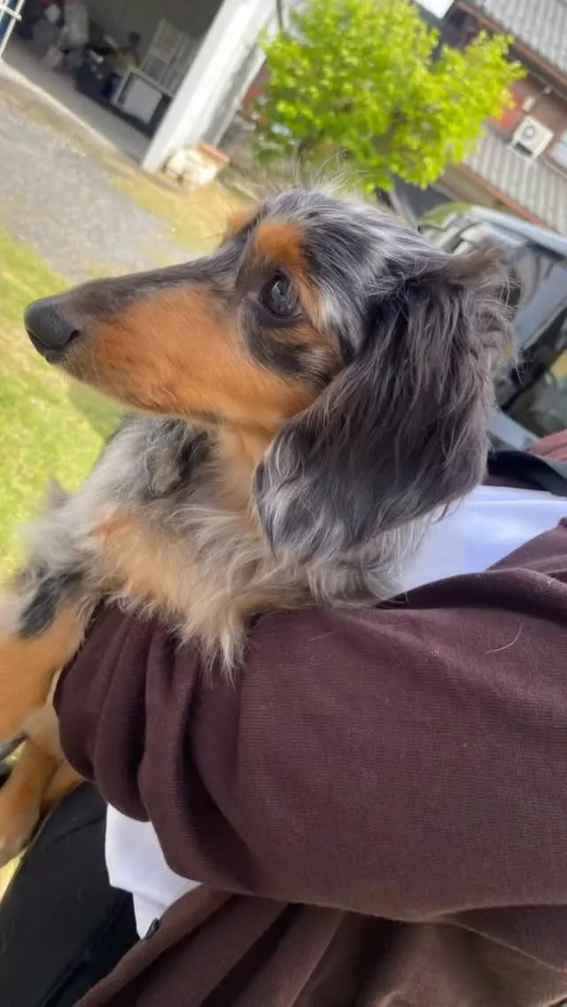 オレオ君🐾