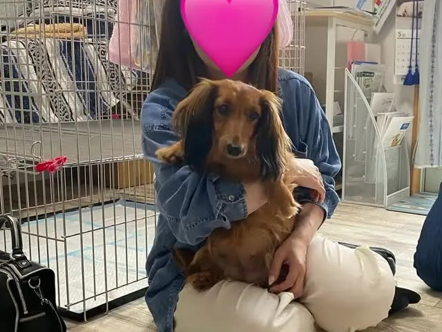 稲荷🐾