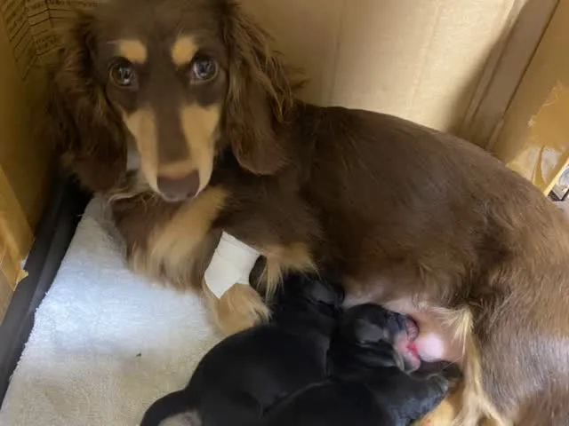 産まれました🐾