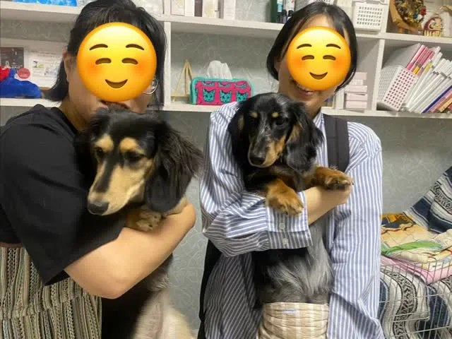ナノちゃん＆めお君🐾