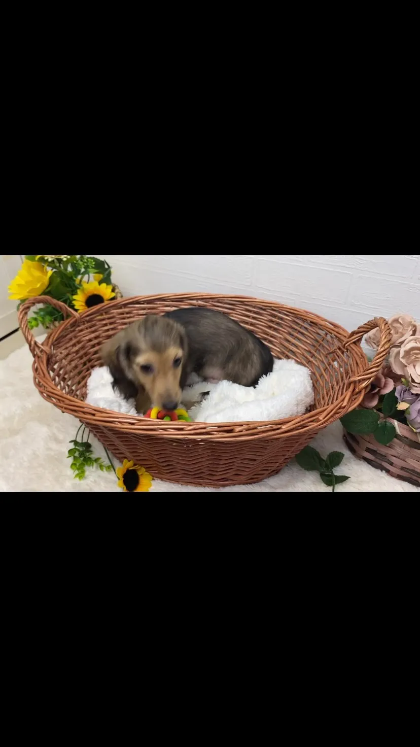 ノア君🐾
