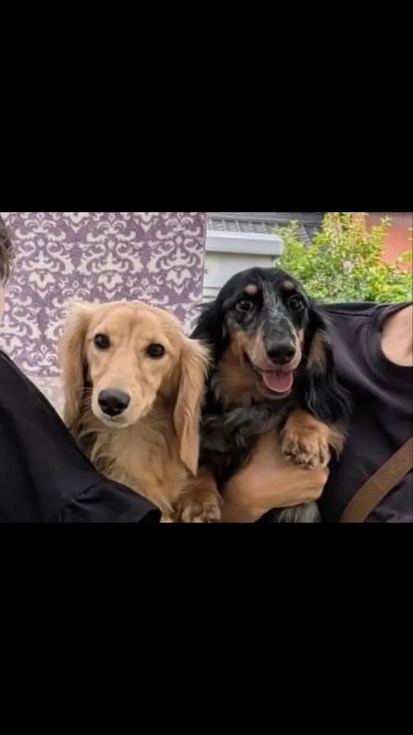 めお君🐾