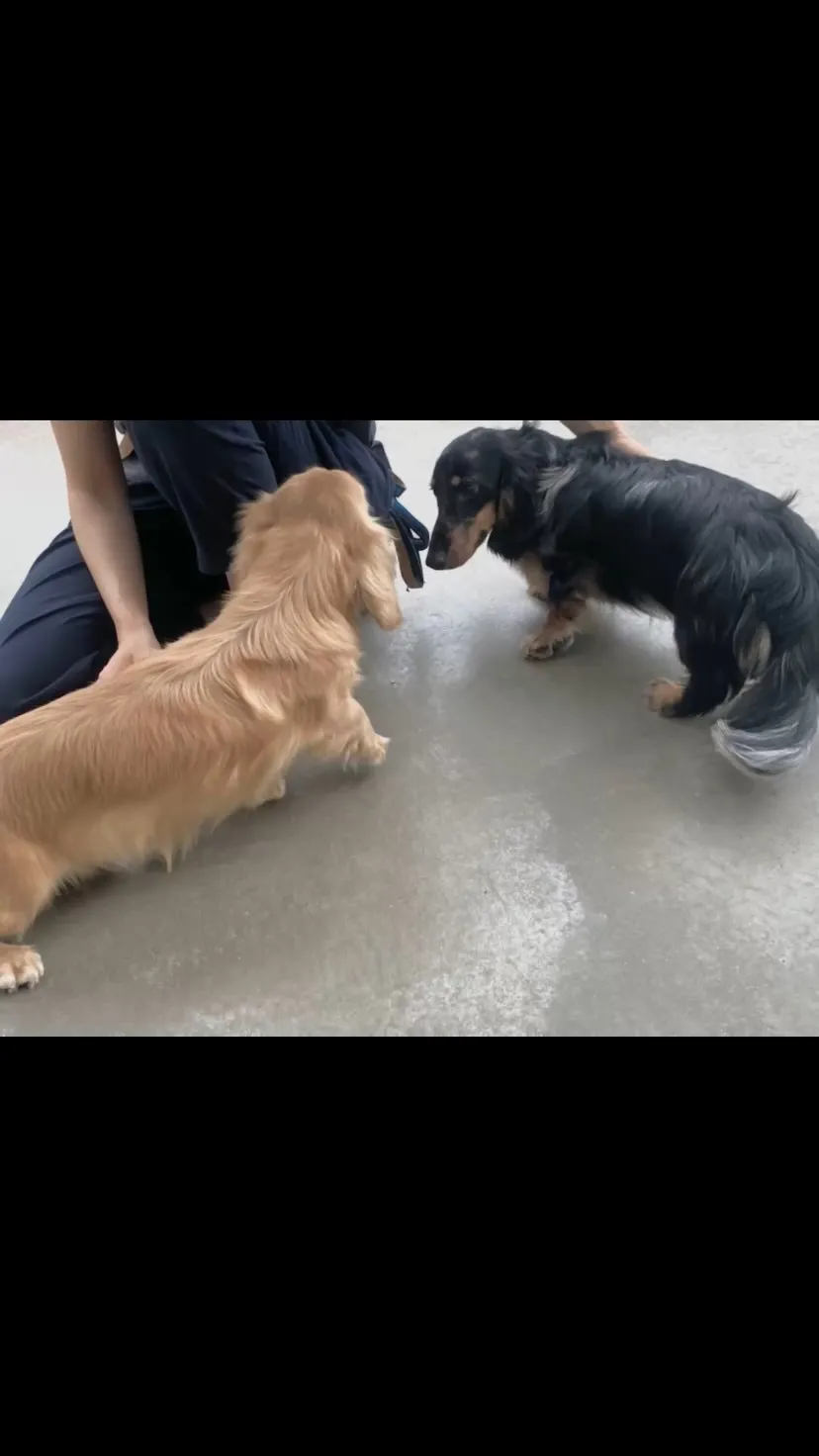 めお君🐾