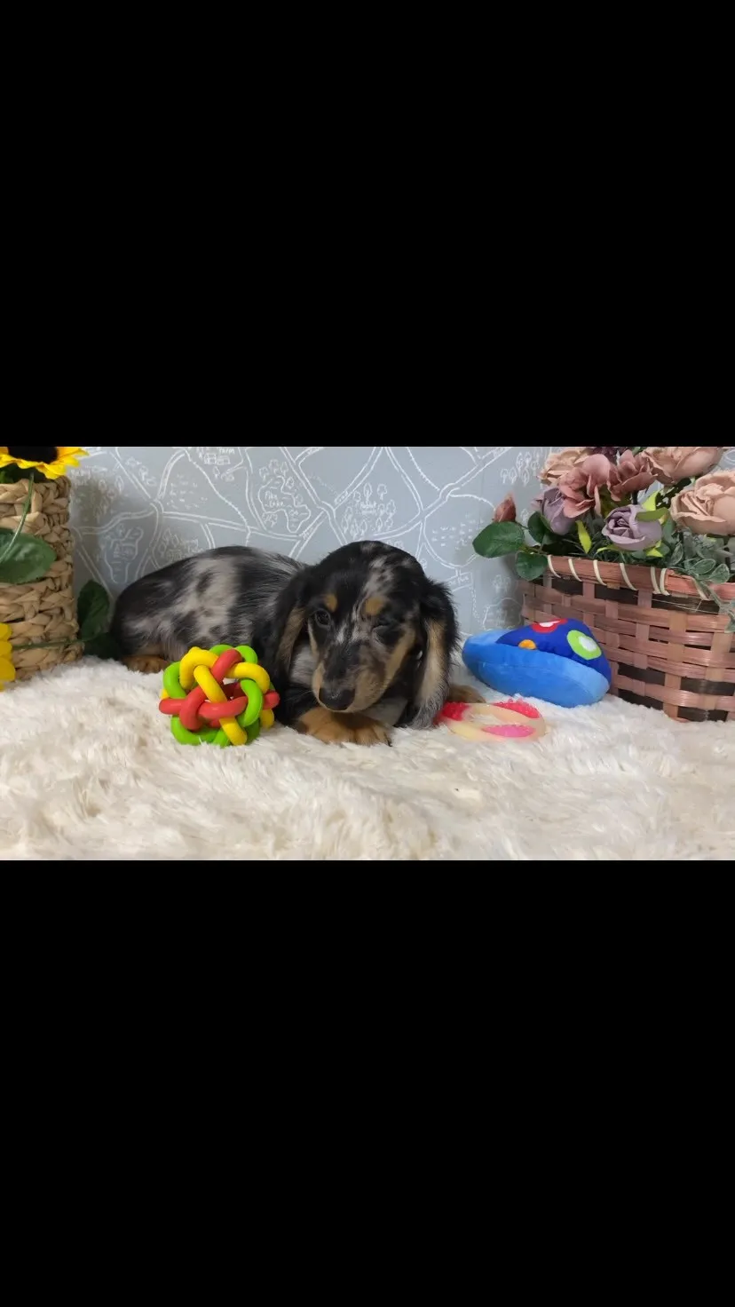 海君🐾