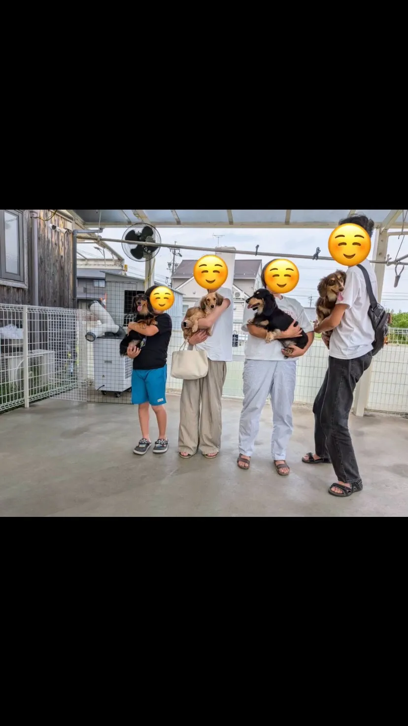 むぎちゃん＆マロン君の里帰り🐾